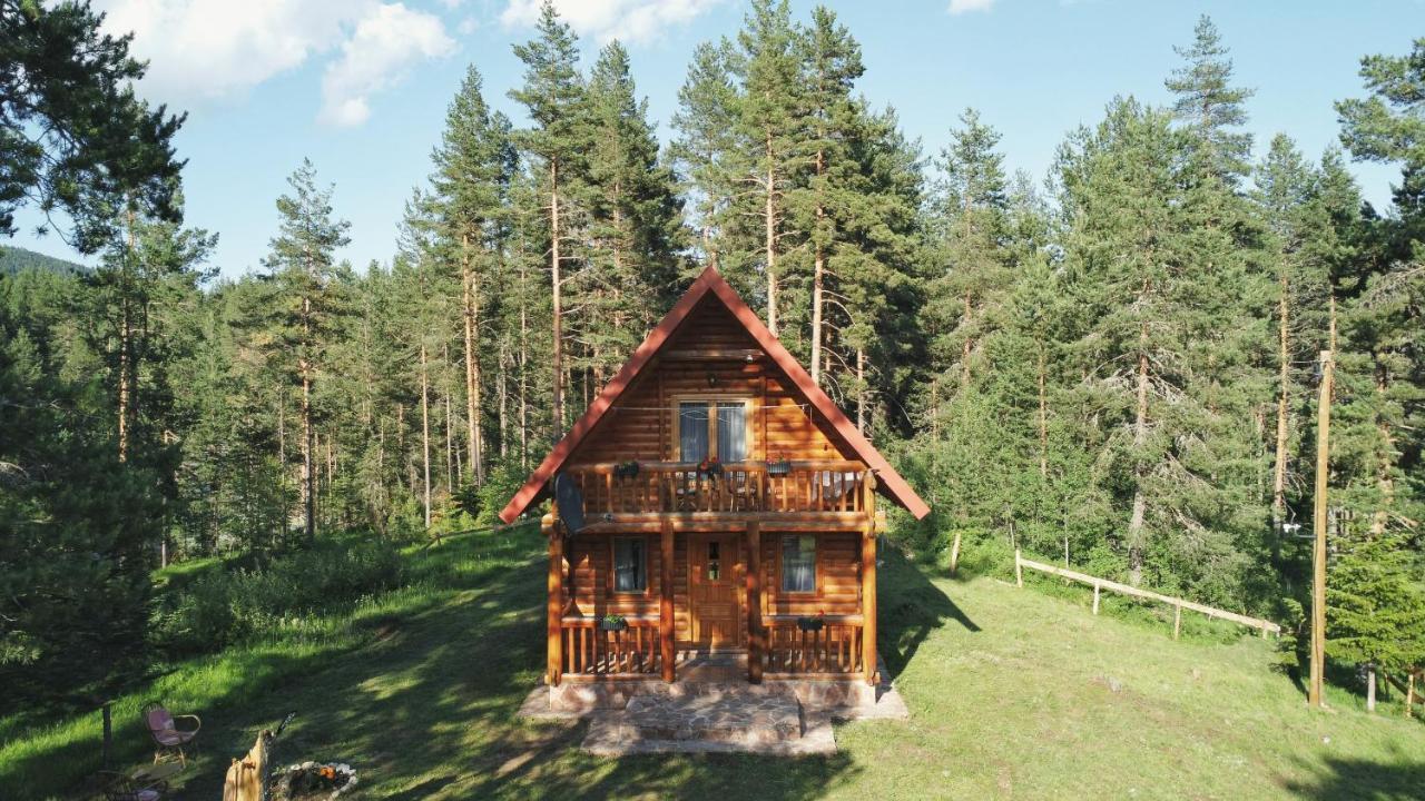 Holiday Home Aster Žabljak Εξωτερικό φωτογραφία